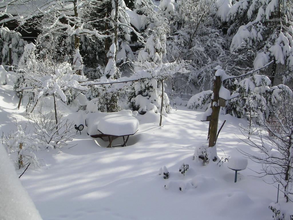 Ferienwohnung Im Harz-Haus-Bruns Клаусталь-Целлерфельд Экстерьер фото