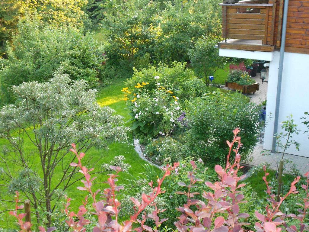 Ferienwohnung Im Harz-Haus-Bruns Клаусталь-Целлерфельд Номер фото