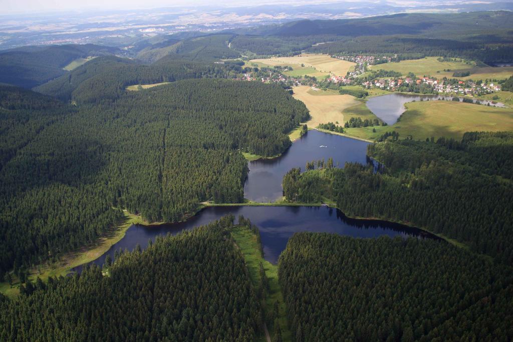 Ferienwohnung Im Harz-Haus-Bruns Клаусталь-Целлерфельд Номер фото