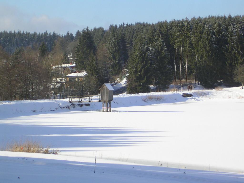 Ferienwohnung Im Harz-Haus-Bruns Клаусталь-Целлерфельд Номер фото