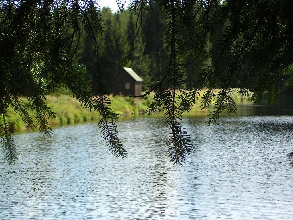Ferienwohnung Im Harz-Haus-Bruns Клаусталь-Целлерфельд Номер фото