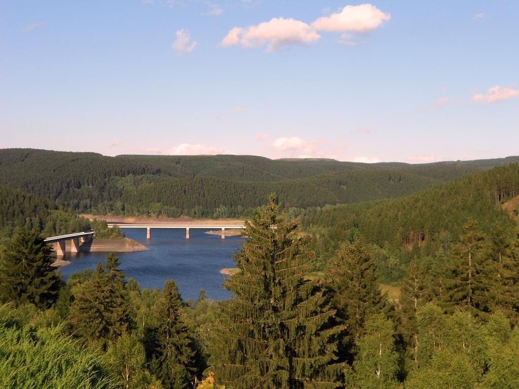 Ferienwohnung Im Harz-Haus-Bruns Клаусталь-Целлерфельд Номер фото