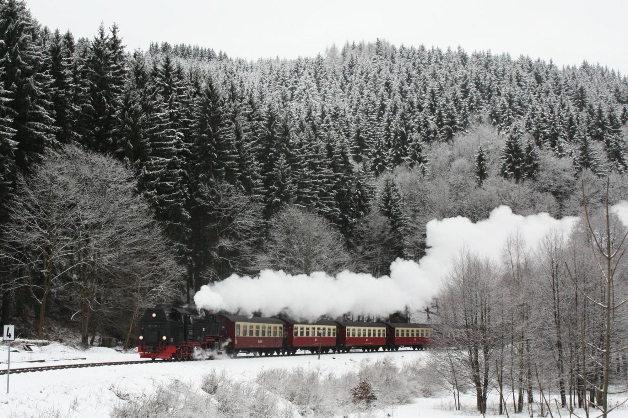 Ferienwohnung Im Harz-Haus-Bruns Клаусталь-Целлерфельд Экстерьер фото