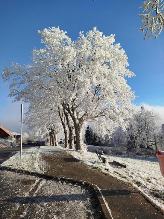Ferienwohnung Im Harz-Haus-Bruns Клаусталь-Целлерфельд Экстерьер фото
