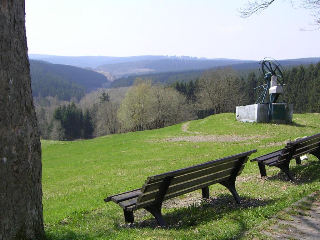Ferienwohnung Im Harz-Haus-Bruns Клаусталь-Целлерфельд Экстерьер фото