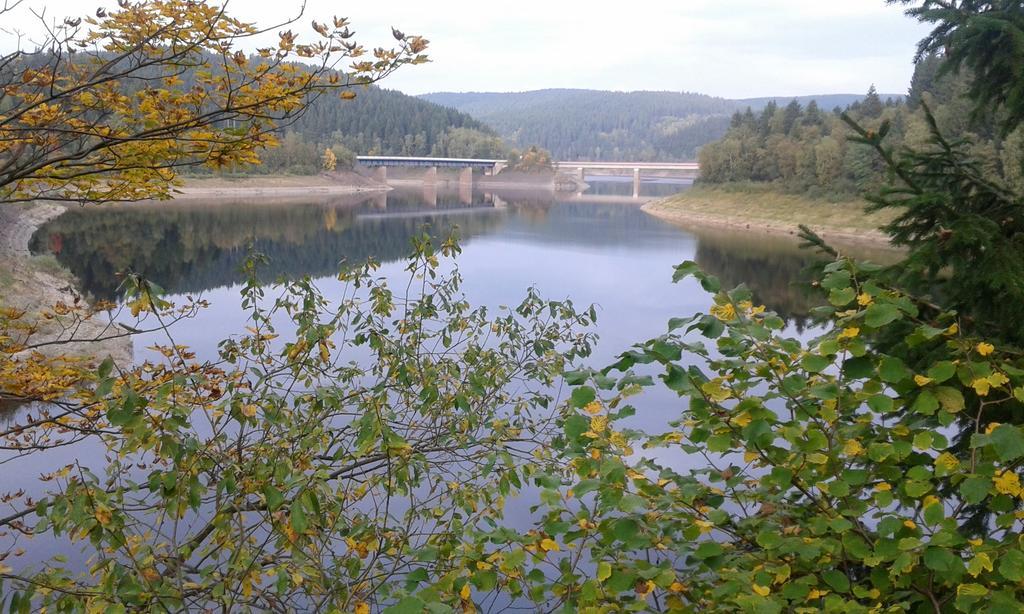 Ferienwohnung Im Harz-Haus-Bruns Клаусталь-Целлерфельд Экстерьер фото