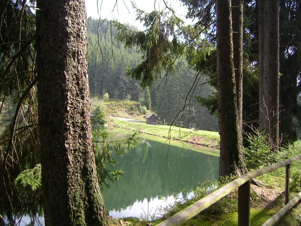 Ferienwohnung Im Harz-Haus-Bruns Клаусталь-Целлерфельд Экстерьер фото