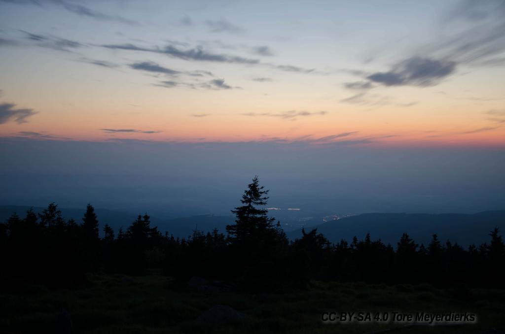 Ferienwohnung Im Harz-Haus-Bruns Клаусталь-Целлерфельд Экстерьер фото