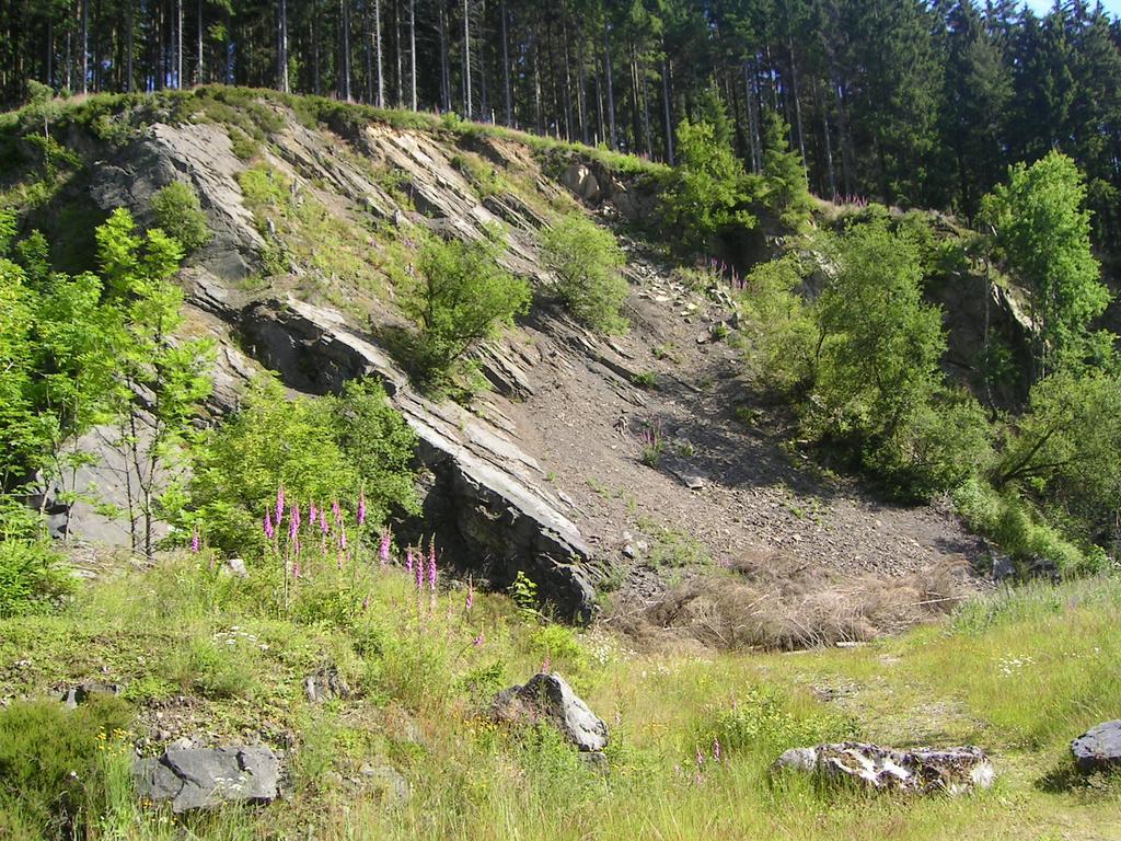 Ferienwohnung Im Harz-Haus-Bruns Клаусталь-Целлерфельд Экстерьер фото